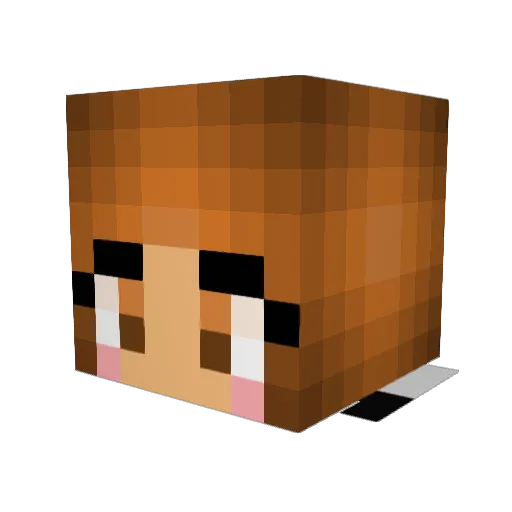 Nezumi1010 Minecraft avatar head, 3D render