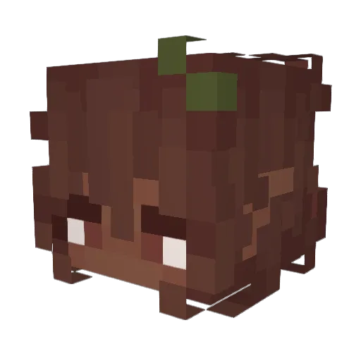 Nezumioo Minecraft avatar head, 3D render