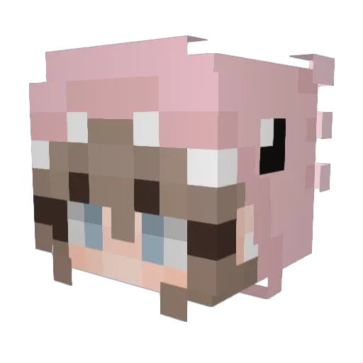 Nezzu_ Minecraft avatar head, 3D render