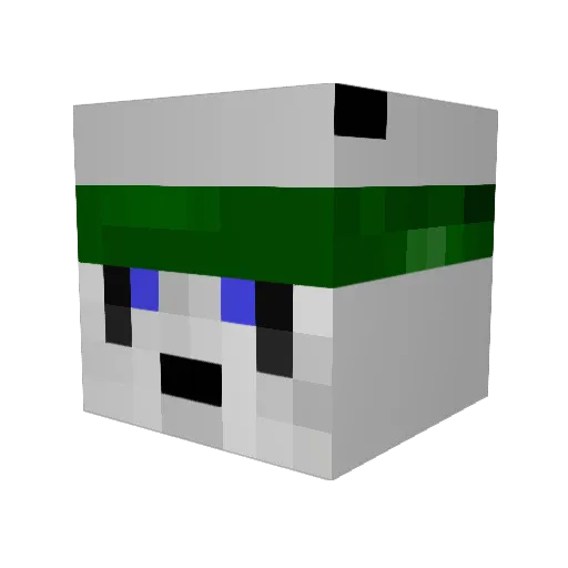 NforNoah Minecraft avatar head, 3D render
