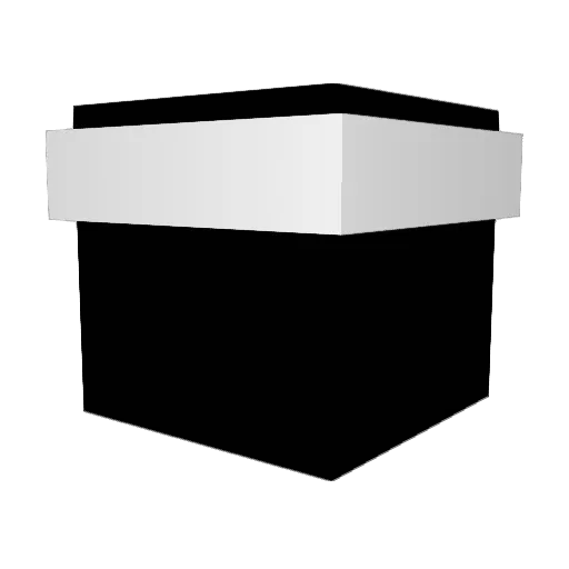 Nfx__ Minecraft avatar head, 3D render