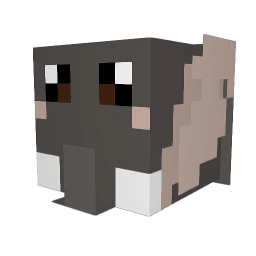 NgTakesOffSkin Minecraft avatar head, 3D render