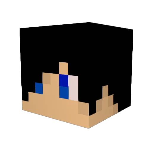 Ngal Minecraft avatar head, 3D render