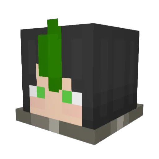 Ngl_Nmr Minecraft avatar head, 3D render