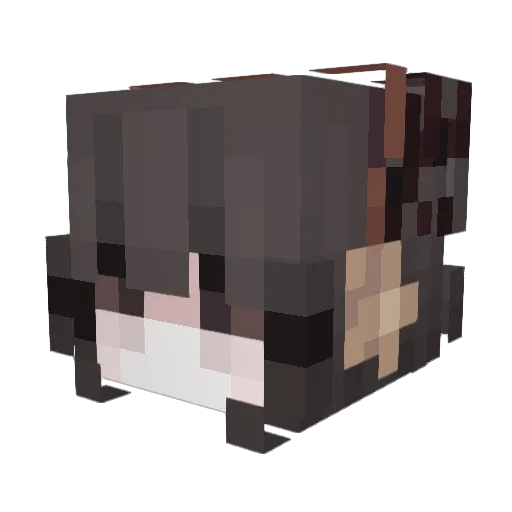 NhiNotKnee Minecraft avatar head, 3D render