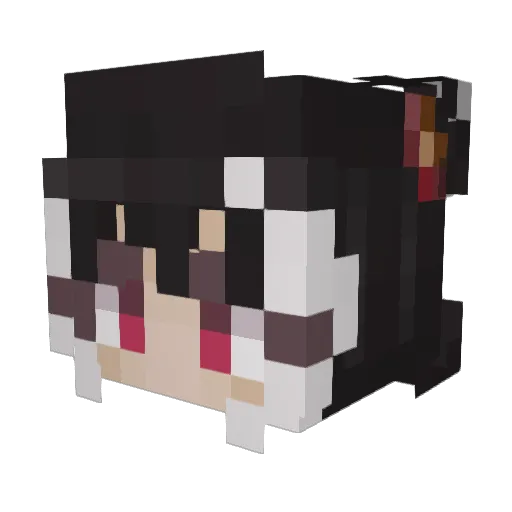 Nhowsocool Minecraft avatar head, 3D render
