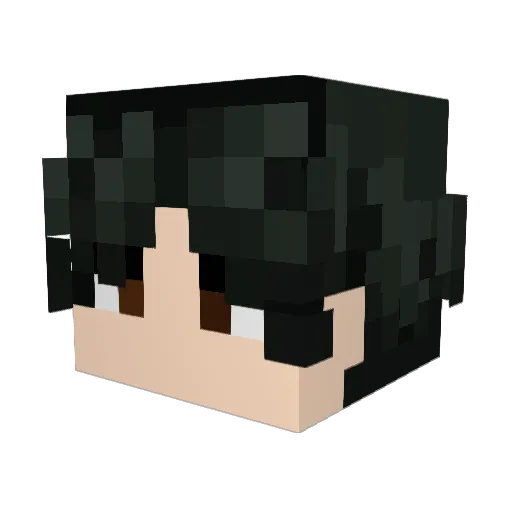 Nhwkk Minecraft avatar head, 3D render