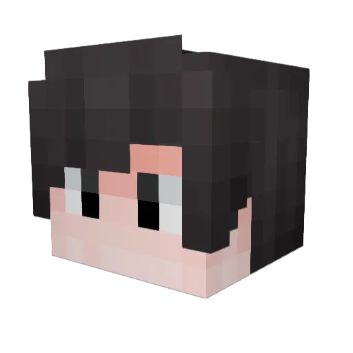 Ni2no_ Minecraft avatar head, 3D render