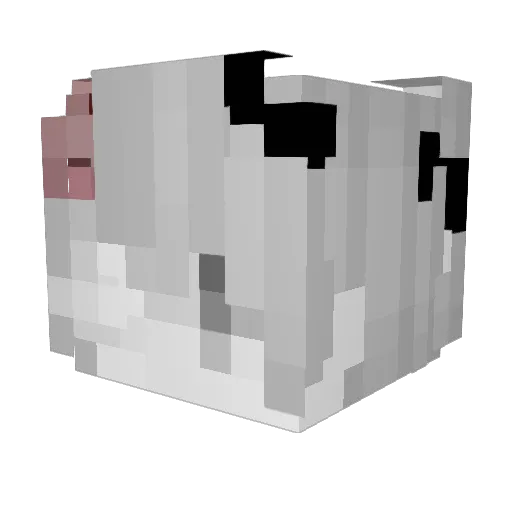 Ni3lz Minecraft avatar head, 3D render