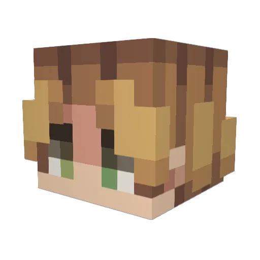 Ni9htFall_ Minecraft avatar head, 3D render