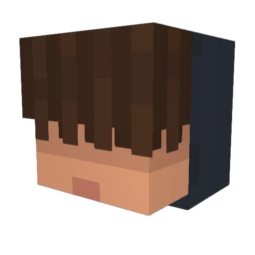 NiCKOLASP0710 Minecraft avatar head, 3D render