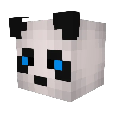 NiChTJaSoN Minecraft avatar head, 3D render
