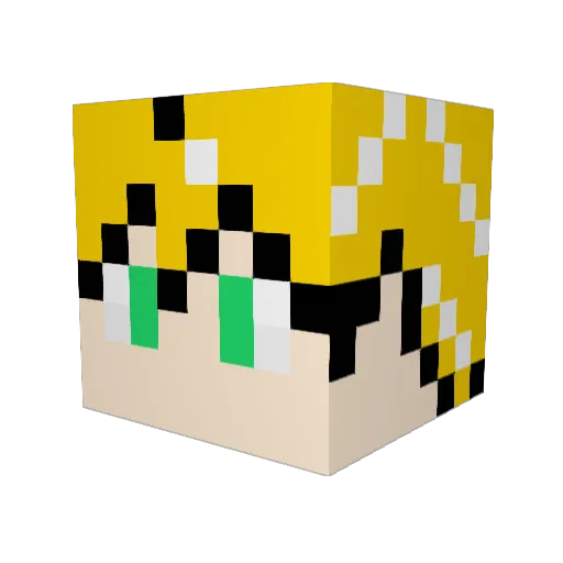 NiCooooooo2525 Minecraft avatar head, 3D render