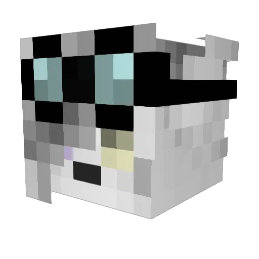 NiDrZero Minecraft avatar head, 3D render