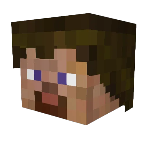 NiGHTSfan Minecraft avatar head, 3D render