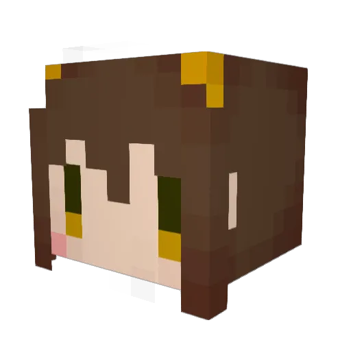 NiKi_125 Minecraft avatar head, 3D render