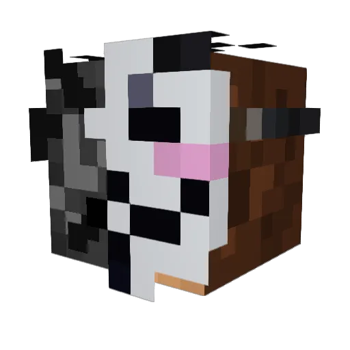 NiKoTtT Minecraft avatar head, 3D render
