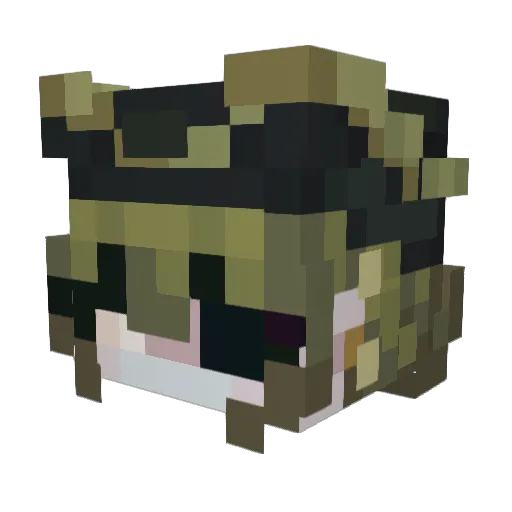 NiLLxv Minecraft avatar head, 3D render