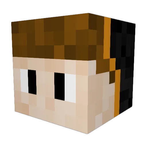 NiLix0506 Minecraft avatar head, 3D render