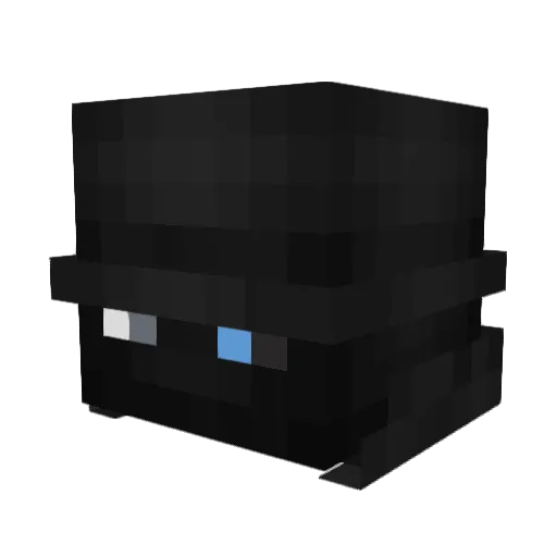 NiMeTocas Minecraft avatar head, 3D render