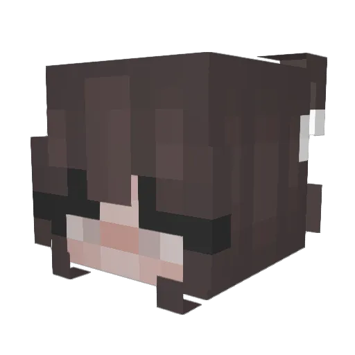 NiNiLuvv_ Minecraft avatar head, 3D render