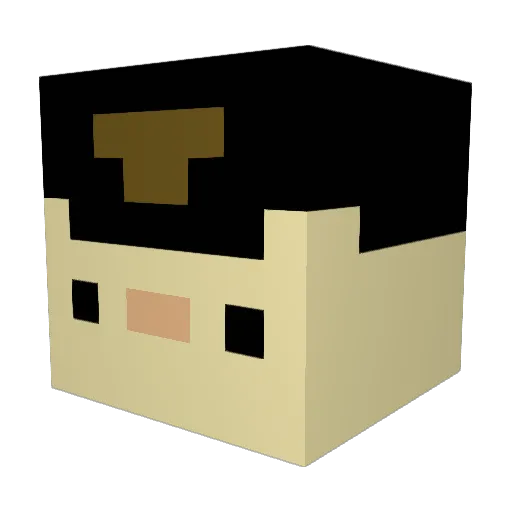 NiNiNikki Minecraft avatar head, 3D render