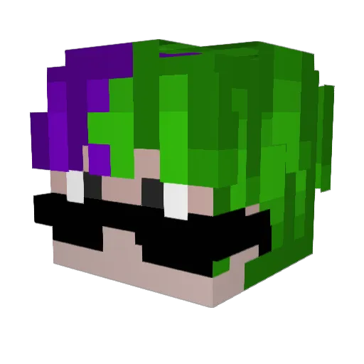 NiNoXs_ Minecraft avatar head, 3D render