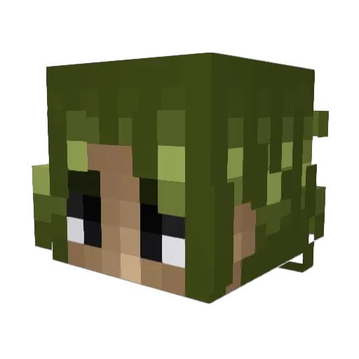 NiTraMz Minecraft avatar head, 3D render