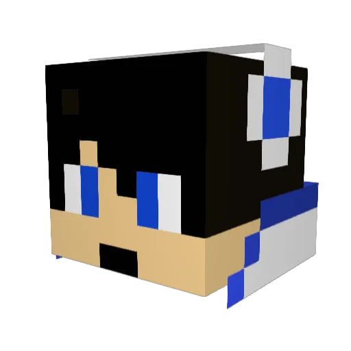 NiTro_Cre8Tive Minecraft avatar head, 3D render
