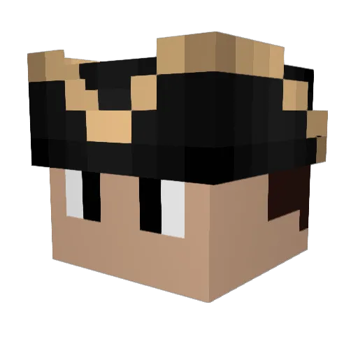 NiY4Life Minecraft avatar head, 3D render