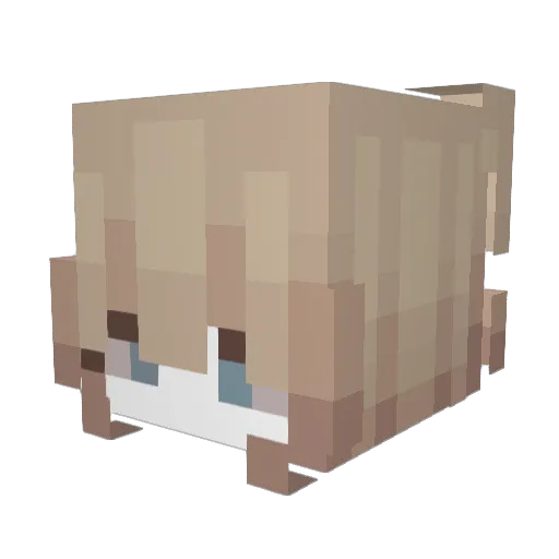 Ni_Chen8 Minecraft avatar head, 3D render