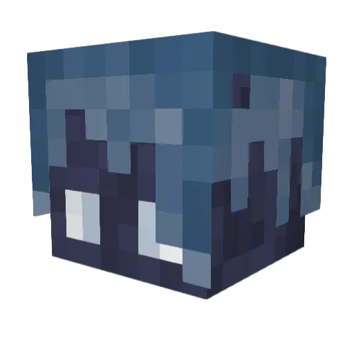 Ni_c0000 Minecraft avatar head, 3D render