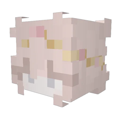 Nia3687 Minecraft avatar head, 3D render