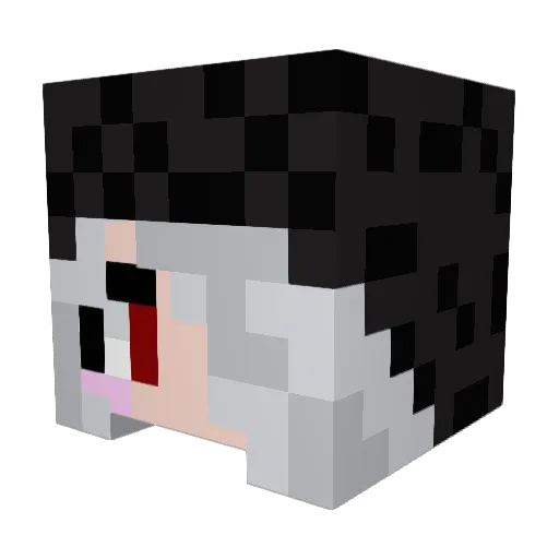 Nia_0512 Minecraft avatar head, 3D render