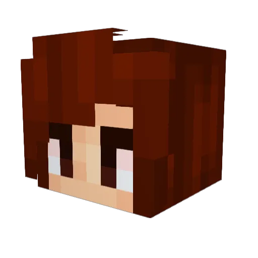 Nia_Kota Minecraft avatar head, 3D render