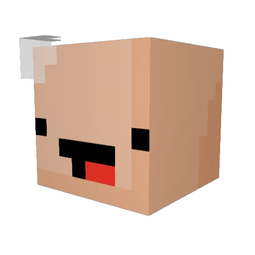 Niacin Minecraft avatar head, 3D render
