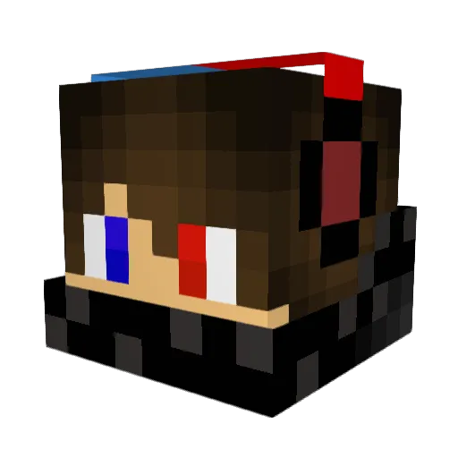Niall846 Minecraft avatar head, 3D render