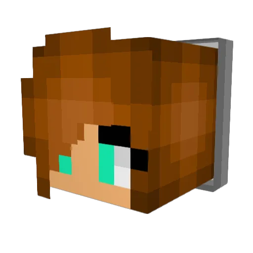 Nialler127 Minecraft avatar head, 3D render