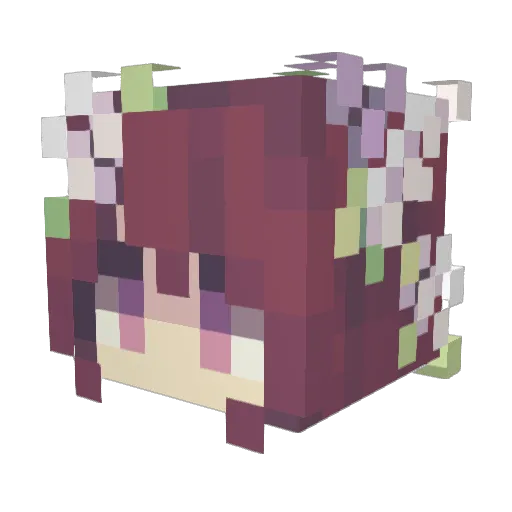 Niamh11 Minecraft avatar head, 3D render