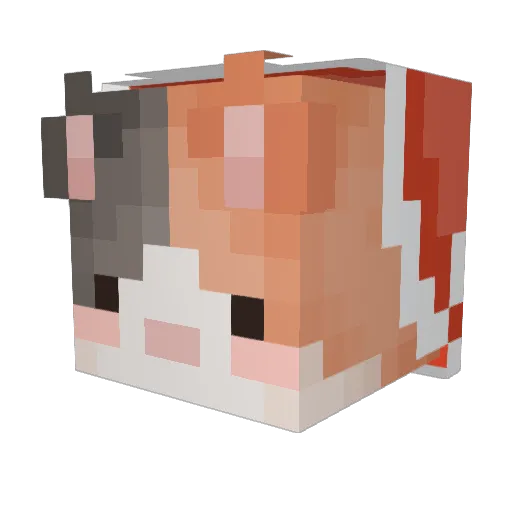 Niamhis_ Minecraft avatar head, 3D render