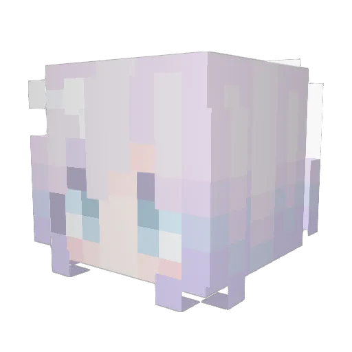 Nian5555 Minecraft avatar head, 3D render