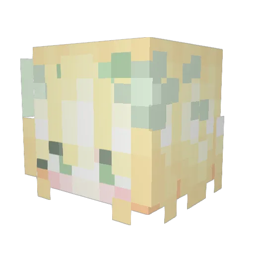 Nianna_ Minecraft avatar head, 3D render