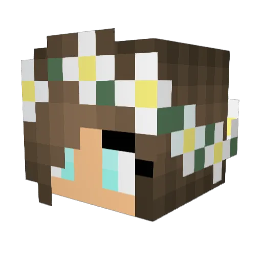 Niathomas01 Minecraft avatar head, 3D render