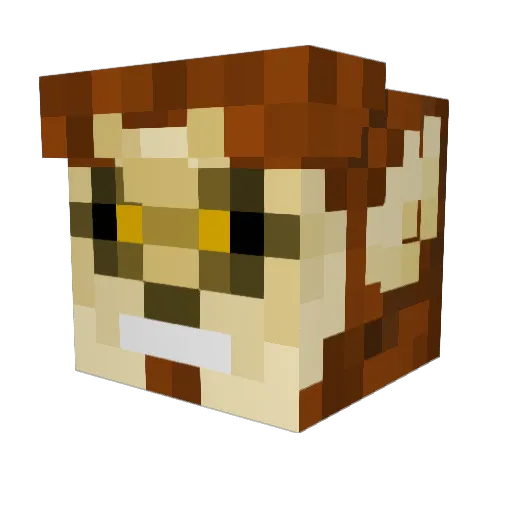 NibbAmir Minecraft avatar head, 3D render