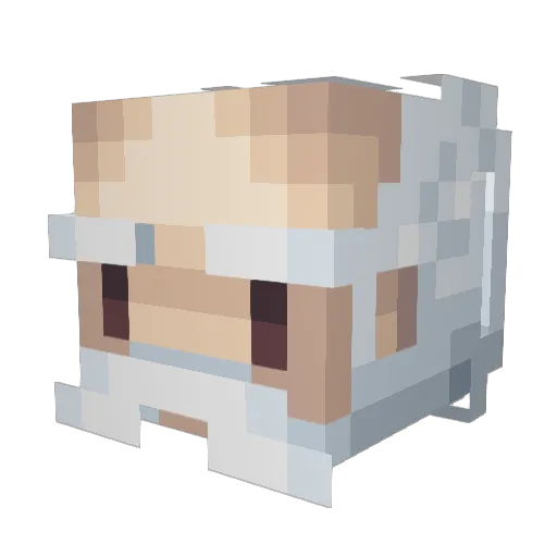 Nibbeb Minecraft avatar head, 3D render