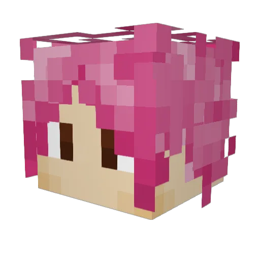NibberBaiter Minecraft avatar head, 3D render
