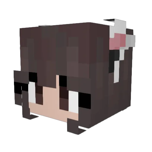 NibbledPotato Minecraft avatar head, 3D render