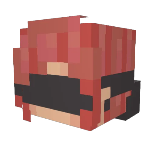Nibblet41 Minecraft avatar head, 3D render