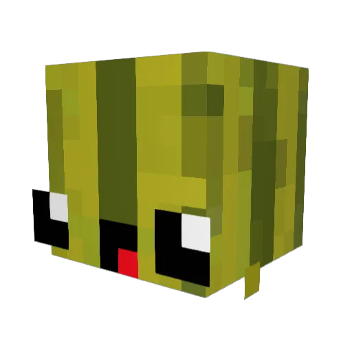 Nibby9999 Minecraft avatar head, 3D render