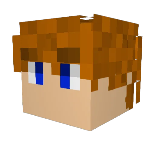 Nibla006 Minecraft avatar head, 3D render